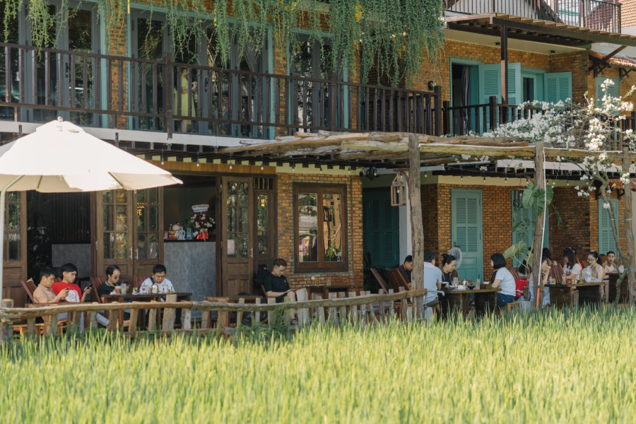 Quán Coffee Le Locust Hội An view cánh đồng lúa
